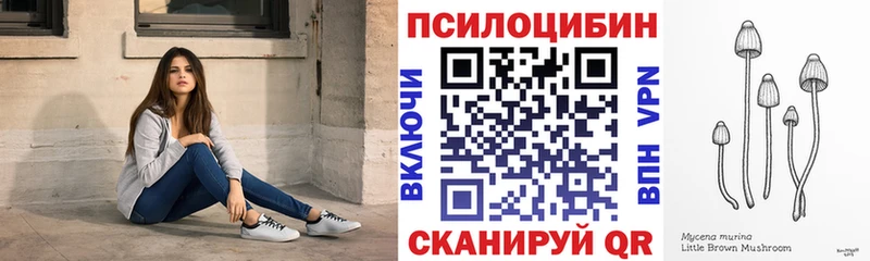 Галлюциногенные грибы прущие грибы  Циолковский 